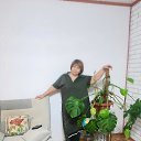 ���� �, ��� - ��������� 29 ������� 2025 � ������ ������ ��������