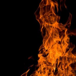 ������, �����-���������, 31 ���