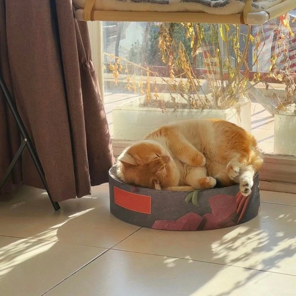 ���� �� � ������� ����� - 5