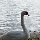 ���� ������., ���� - ��������� 22 ������� 2025 � ������ ���� ����������