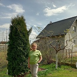 , 64, 