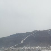 ����, 37 ���, ������