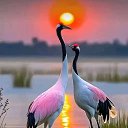 ���� �����, ����, 56 ��� - ��������� 20 ������ 2025 � ������ ������ ��������