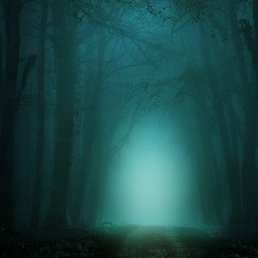 ����, ��-�������, 57 ���