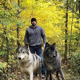 ����, ������ ��������, 59 ���