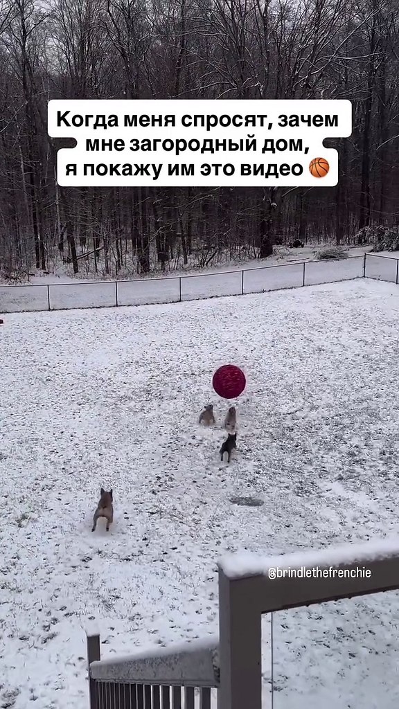 �������, ������ ��� ����� � ��������� ���������. - 2