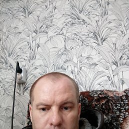 ���� ����, �����, 42 ���� - ��������� 24 ������� 2025