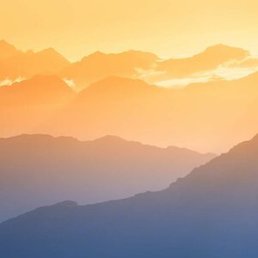 �������, ������, 43 ����