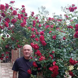 ���� ����, �����, 64 ���� - ��������� 30 ������ 2026