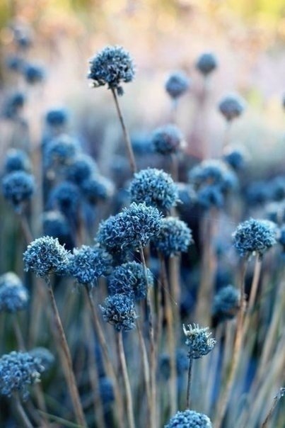 ����� ������� � �������, �� ��� ������������ ��� ����. - 3