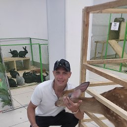 ���� ������, �����������, 39 ��� - ��������� 28 ������ 2024