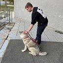 ���� ��������, ������, 26 ��� - ��������� 23 ������� 2025 � ������ ���� ����������