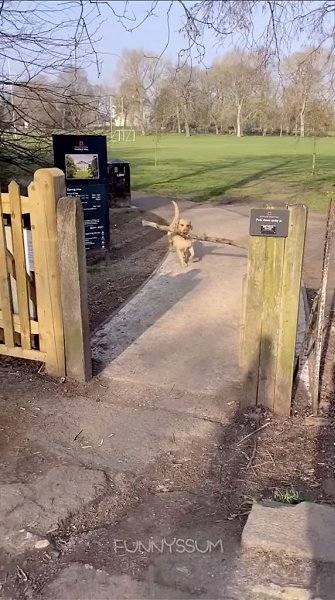 ����� ������� �����