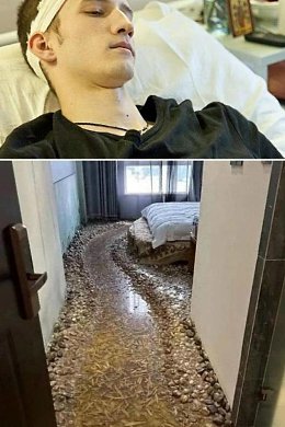 �����������