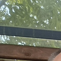 ������, ���������, 46 ���