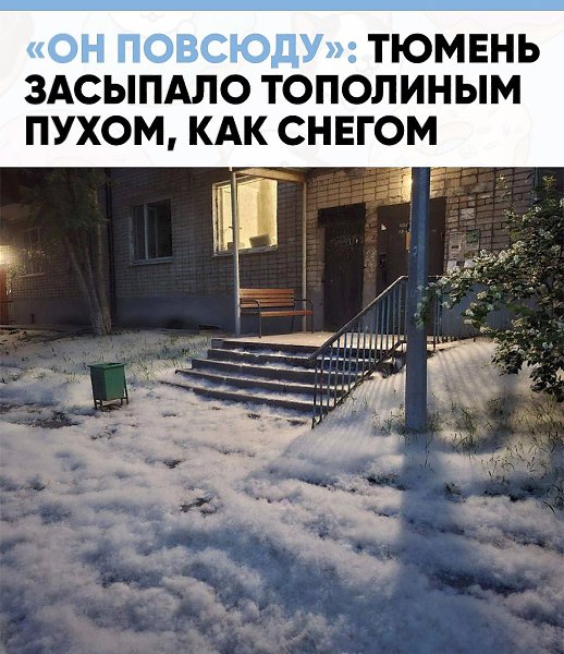 Июньская “зима”: город утонул в тополином пуху.На улицах будто выпал снег… Только без санок, с ...