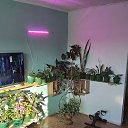 ���� ������, �������-���������, 65 ��� - ��������� 22 ������ 2023