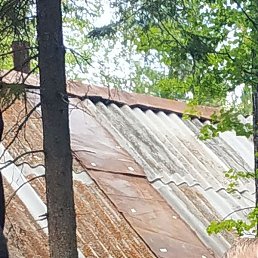 �������, ����-���, 46 ���