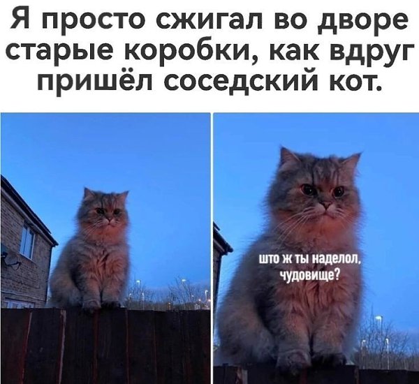 �������� ��������� - 6 ������ 2024 � 21:56