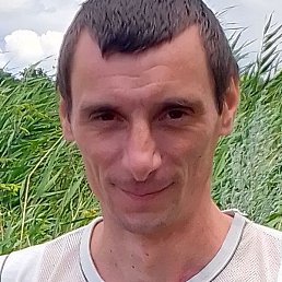 ������, �������-����������, 38 ���