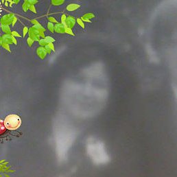 �������, ����, 67 ���