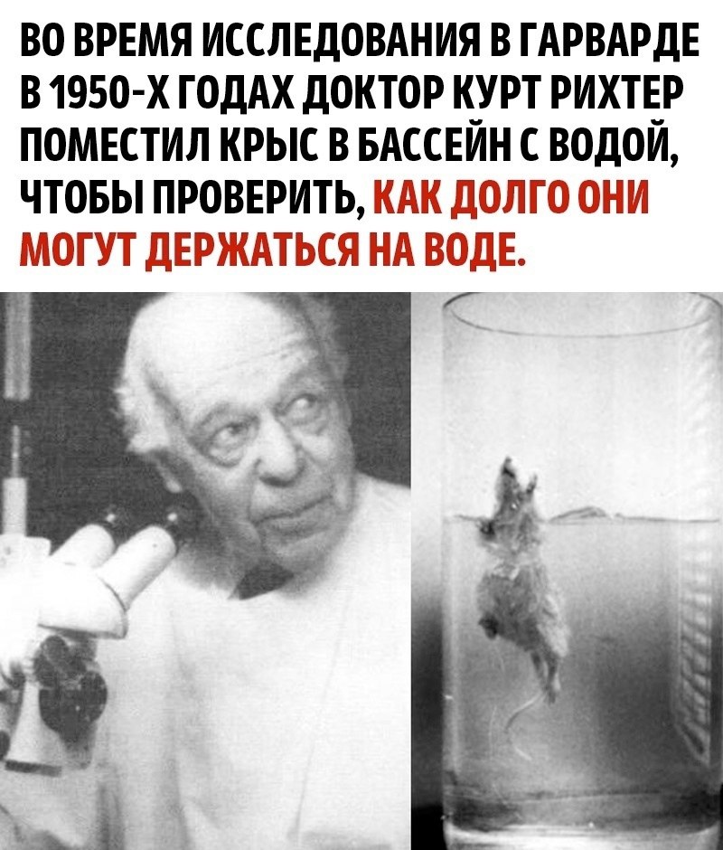 ����� ���� ������������ ����