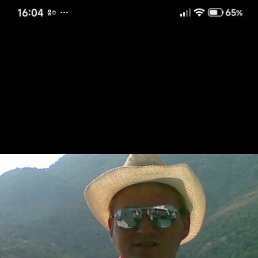 ����www339., ����, 45 ���