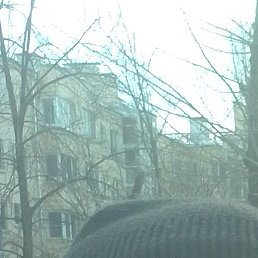 �������, ������, 66 ���