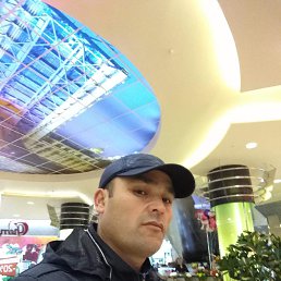, 41, 