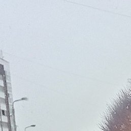 ���������, �������, 47 ���