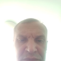 , 54, 