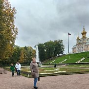 ��������, 49 ���, ������