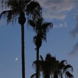 �����, ��������, 18 ���