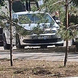 ���� ����, ���������, 48 ��� - ��������� 20 ���� 2026