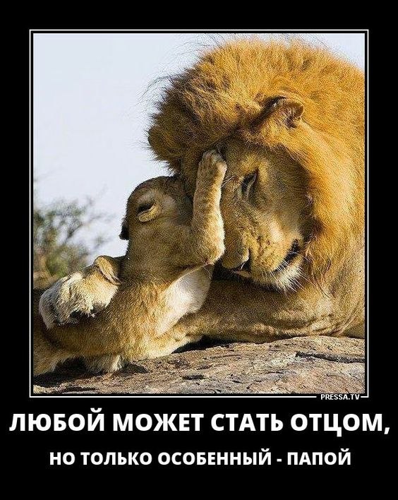 ��� ���� - 10 ����� 2026 � 14:07