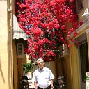 naphplion �� ������� ���� ����������