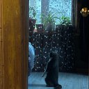 ������ �� ������� ���� ���� ������