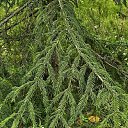 ���� ������, ������, 74 ���� - ��������� 18 ������� 2025 � ������ �������