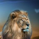 ���� �������, ���������, 40 ��� - ��������� 21 ���� 2025 � ������ ���� ����������