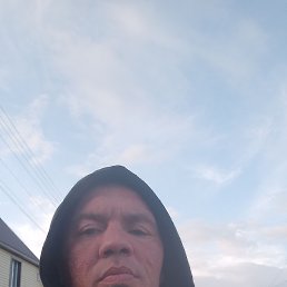 , 40 , 