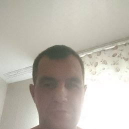 , 44, 