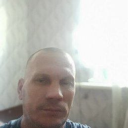 , 46, 