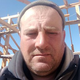 ���� ������, ����, 41 ���