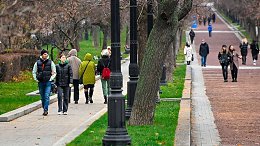 �����������