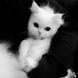 ���� �����, ������, 37 ��� - ��������� 14 ������ 2023