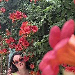 ����, �����, 41 ���