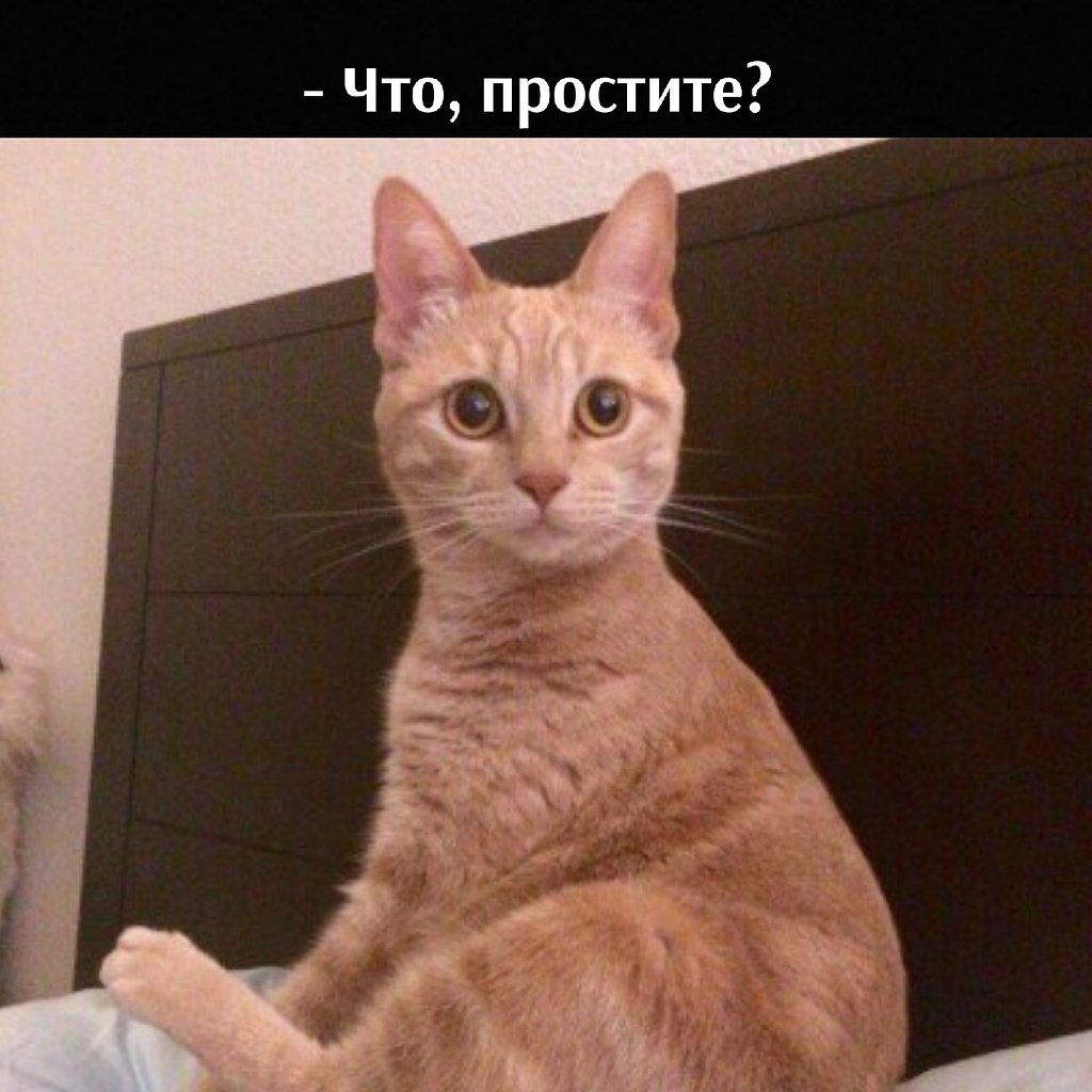       - 5  2025  12:10 - 3