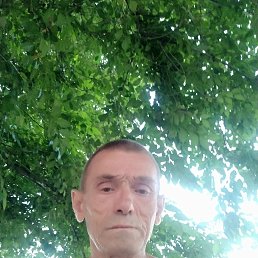 , 54, 