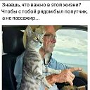 ���� �����, ������, 106 ��� - ��������� 2 ������� 2024 � ������ ������ ��������