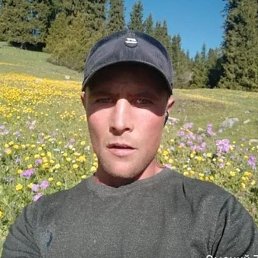 , 37, 